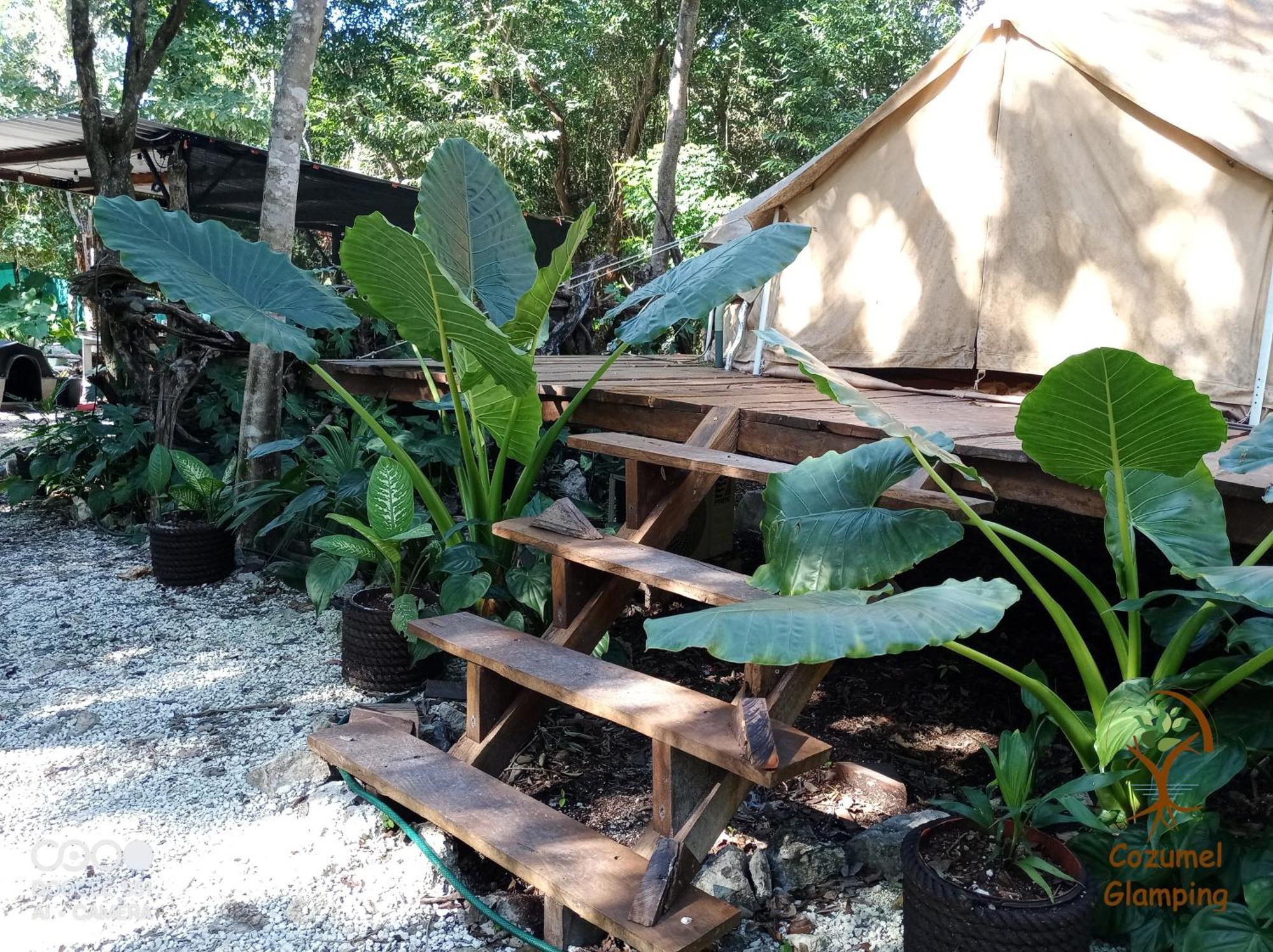 Glamping Tente de luxe *