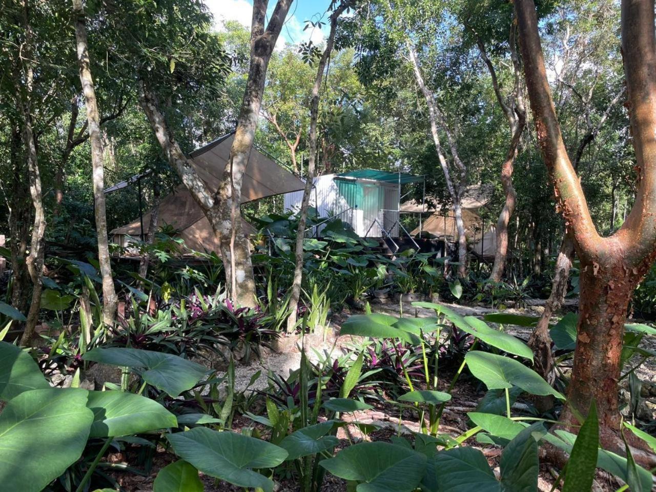 Glamping Tente de luxe Cozumel
