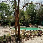 Cozumel Glamping