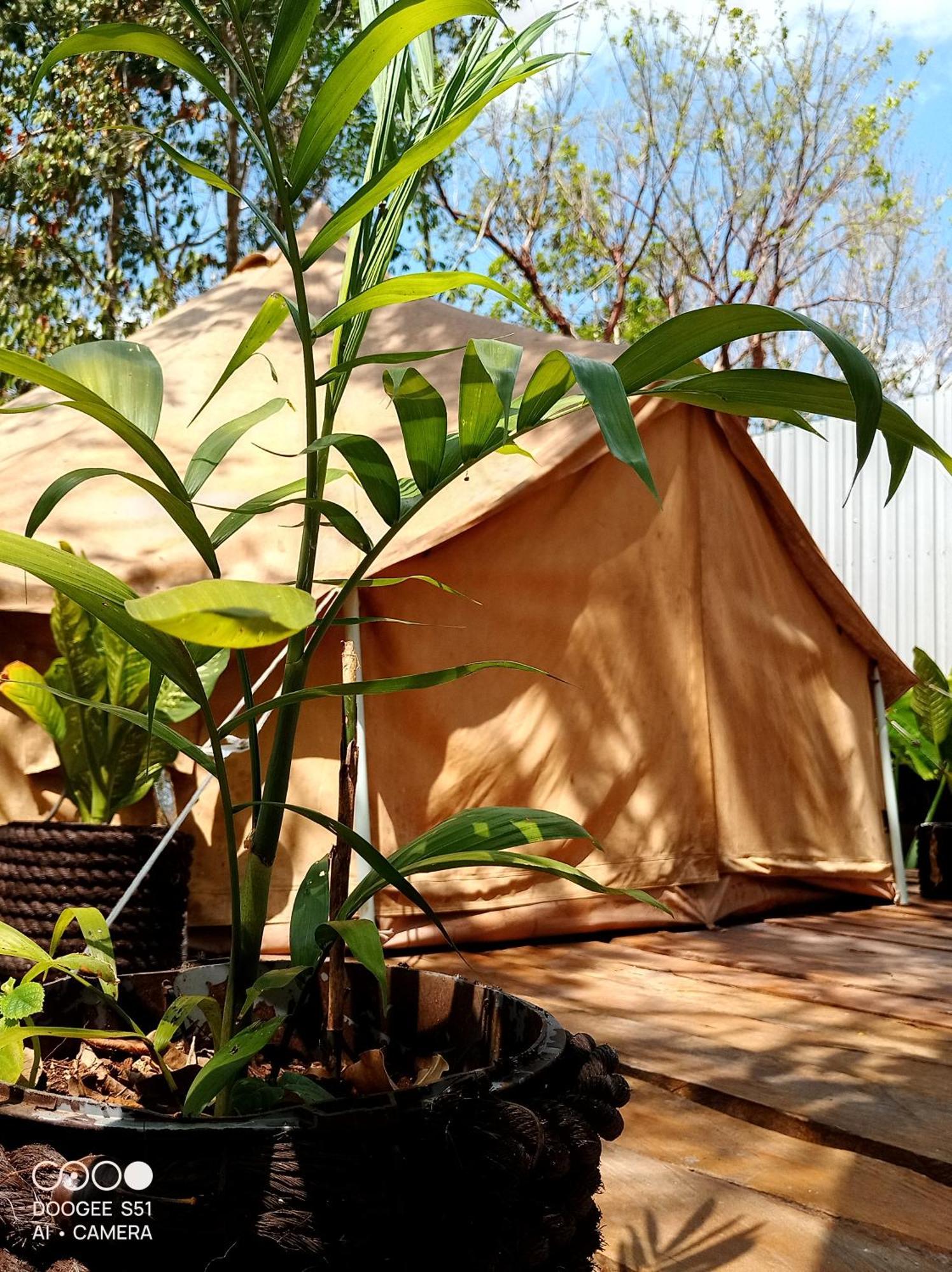 Luxury tent Glamping Cozumel