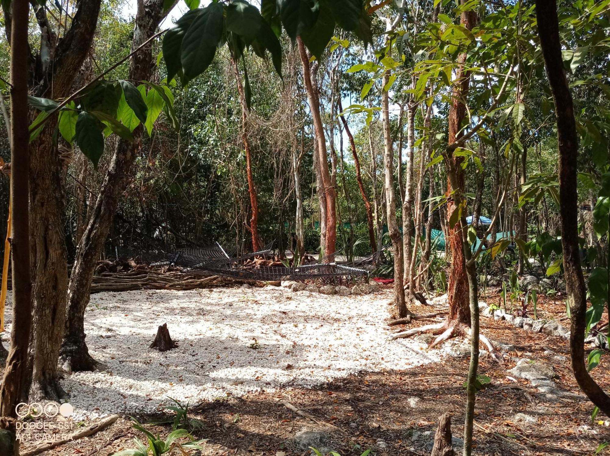 Glamping Luxury tent Cozumel