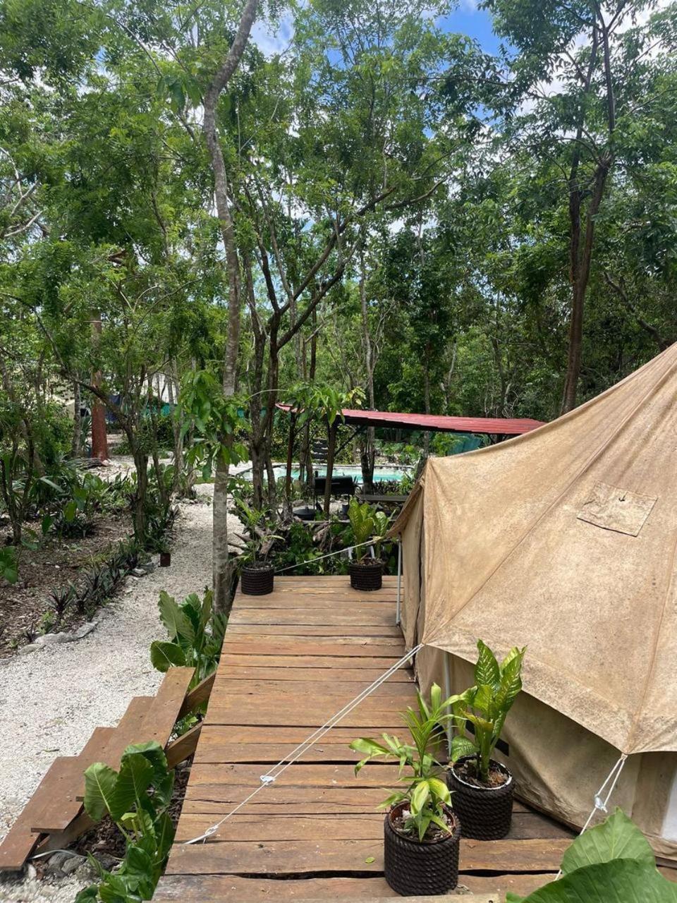 Glamping Luxury tent Cozumel