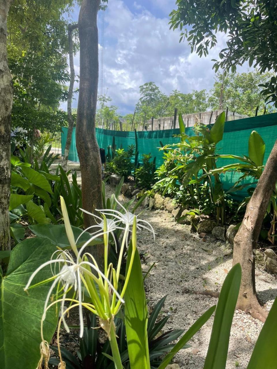 Luxury tent Glamping Cozumel