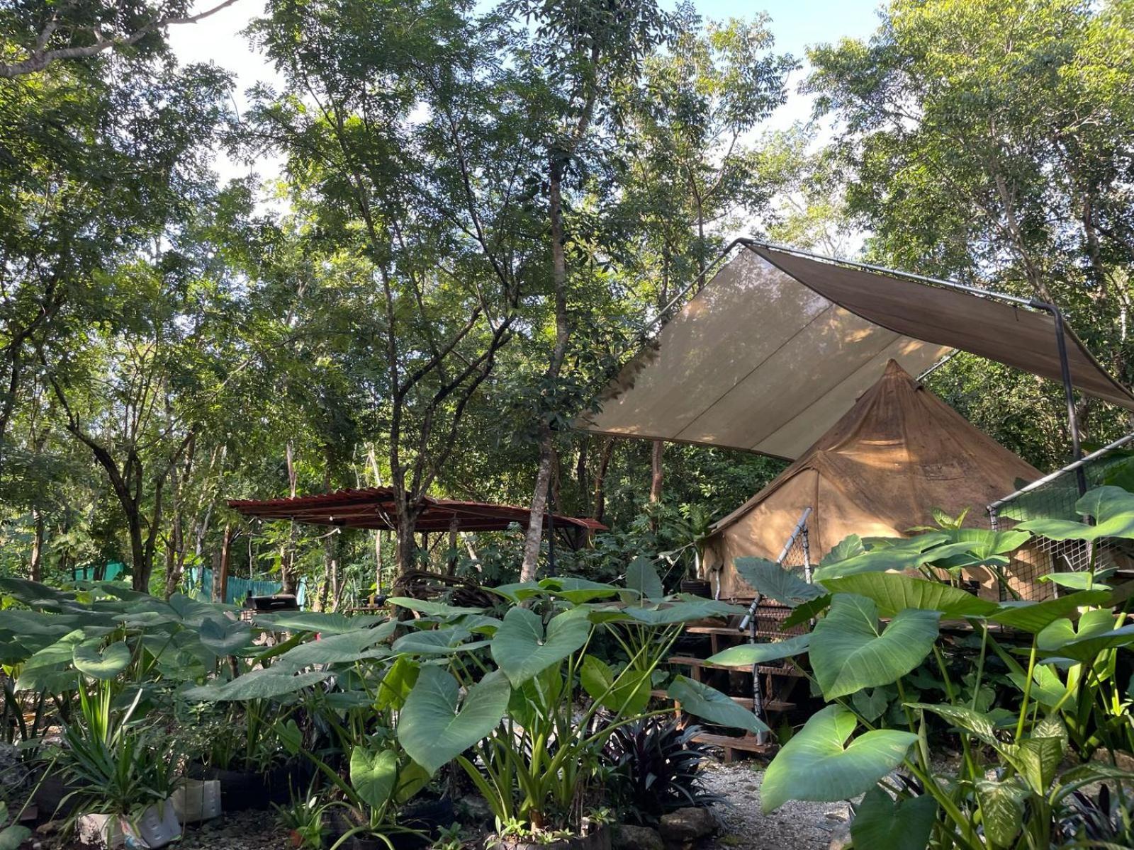 Glamping Luxury tent *