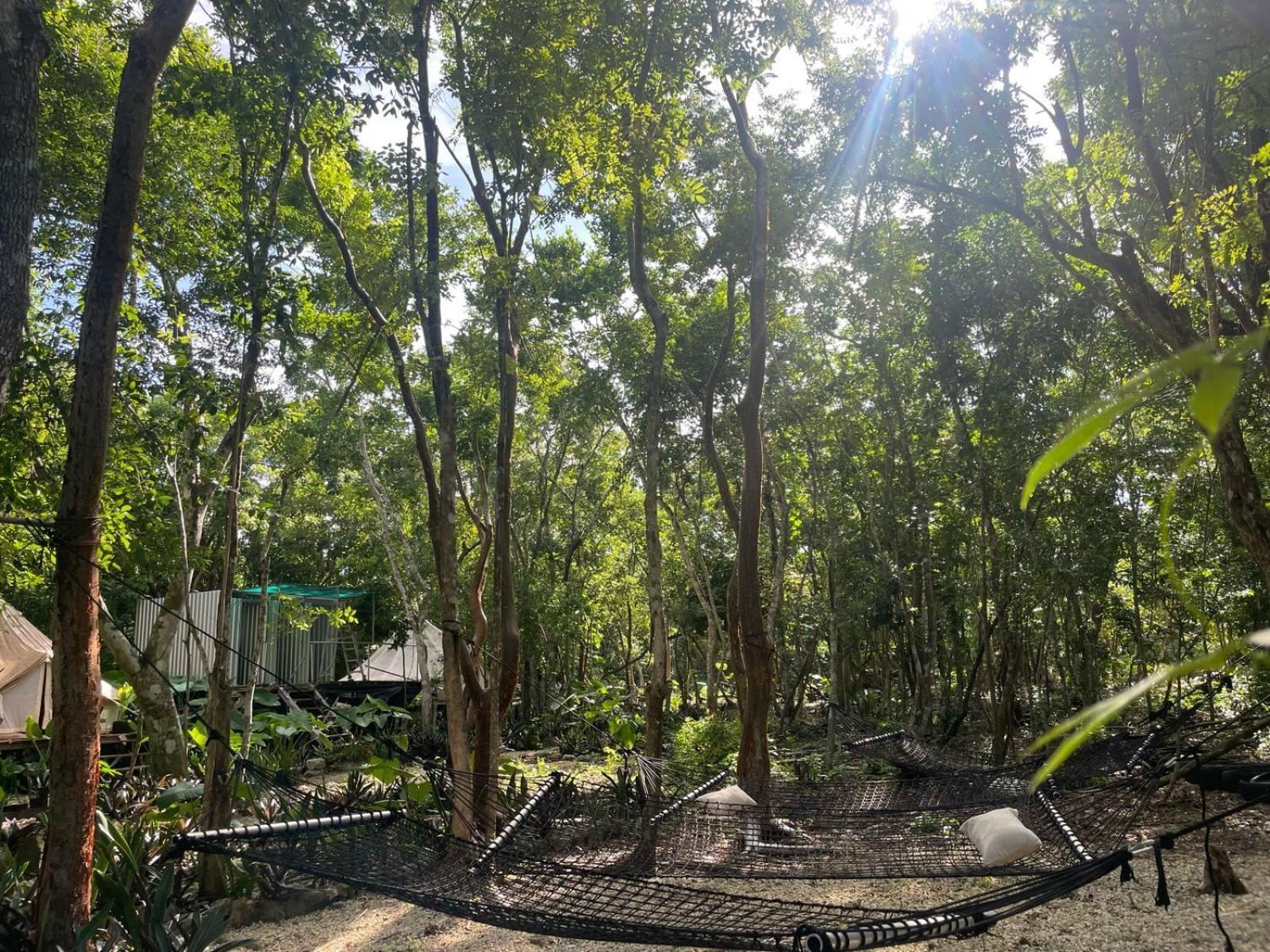 Luxury tent Glamping Cozumel