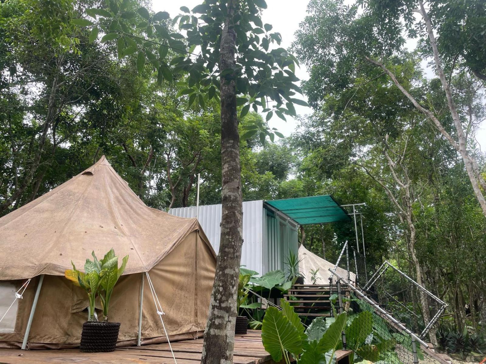 Glamping *