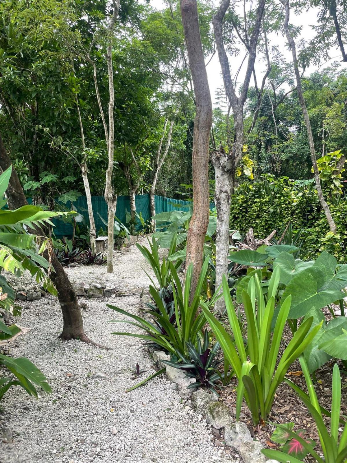 Glamping Cozumel